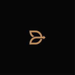 Letter D arrow logo Icon flat vector design
