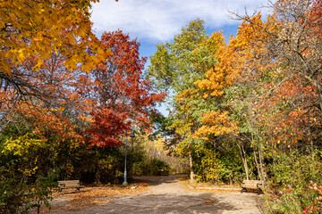 Naklejka premium Autumn View of Colonel Samuel Smith Park in Toronto.
