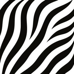 Zebra print background  