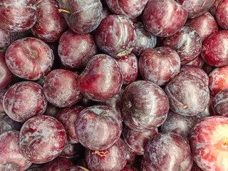 Close-up Pile of Fresh Dark Red and Purple Plums Fruit Texture
