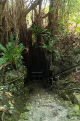 糸数アブチラガマの出口