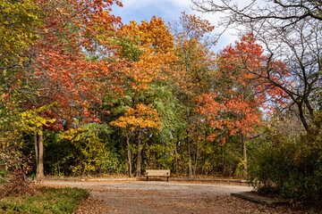 Autumn View of Colonel Samuel Smith Park in Toronto.