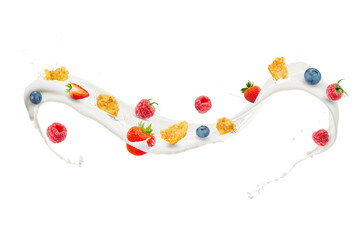 Milk Splash With Raspberry, Strawberry, Blueberry and Corn Flakes. Real Splash Photo Using High...