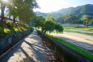 Shadows on Jojong Stream Path