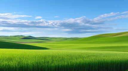 Naklejka premium Tranquil Green Landscape with Lush Grass Under a Vast Blue Sky and Fluffy Clouds in a Serene Natural Setting of Rolling Hills