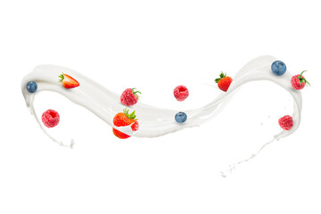 Milk Splash With Raspberry, Strawberry, and Blueberry. Real Splash Photo Using High Speed Flash Photography. © somchaij