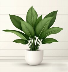 Lush Green Indoor Plant in Minimalist White Pot for Home Decor