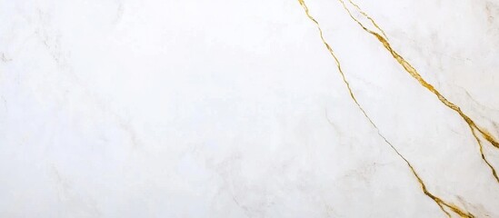 Elegant White Marble with Gold Veins for Luxurious Design Projects