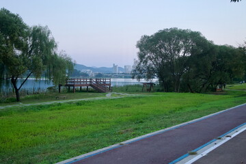 Fototapeta premium Deck Overlooking Wetlands
