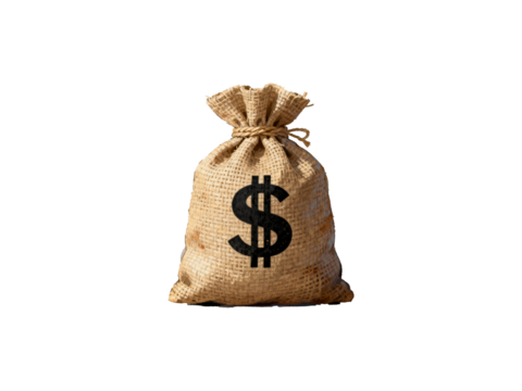 bag with money isolated - Powered by Adobe