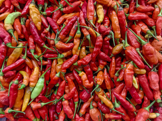 Full Frame Pile of Colorful Red, Orange, and Yellow Chili Peppers