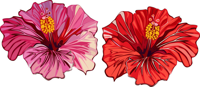 Beautiful vector bouquet of flowers. Summer peony. Colorful flowers.red flower on white background.