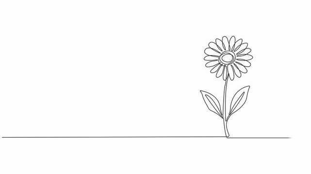 Animated self drawing of continuous line draw beauty fresh bruisewort. Printable decorative common daisy flower concept for home wall decor poster art, decorative common daisy flower concept for home.