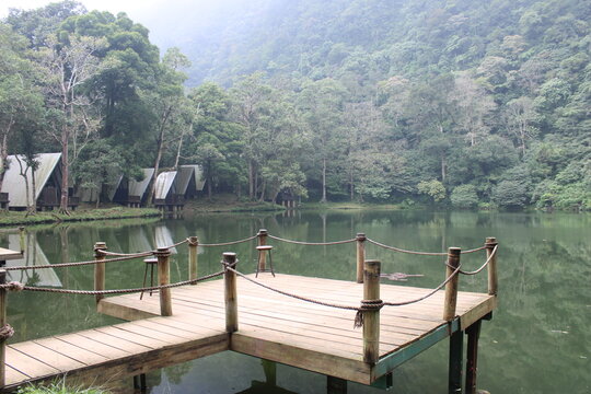 wooden bridge over lake