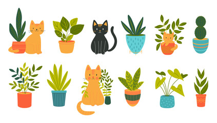 A collection of flat vector illustrations of cats and houseplants. Playful pets with modern potted greenery.