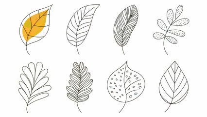 Botanical Foliage Illustration featuring different leaf shapes and patterns for design and decoration showcasing elegant foliage art and creative leaf drawing