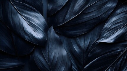 Detailed close up view of dark feathers showcasing abstract pattern and texture