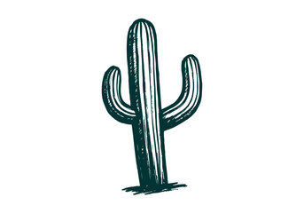 Cactus hand drawn simple sketch vector illustration
