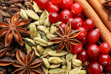 Different spices and cranberries for mulled wine as background, top view
