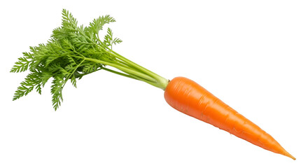 Fresh Carrot with Green Leaves vegetable food