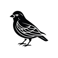 Bird silhouette isolated on white background graphic illustration of a small passerine bird isolated on transparent background