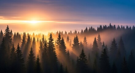 Golden Sunrise Illuminating a Misty Forest Landscape.