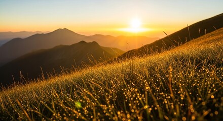 Golden Sunrise Over Mountain Grassland - A Serene Landscape.