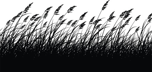 Silhouette vector of tall grass field, black meadow border, wild reeds blowing in wind, nature background illustration.