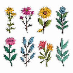  A sticker set of medicinal herbs including chamomile, echinacea, lavender, mint, sage, thyme, calendula and plantain for health product packaging and herbal labels