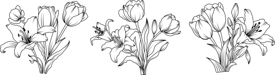 Lily and Tulip flower arrangement line art on white background. Silhouette botanical hand drawn element for wedding, invitation frame design, vector illustration