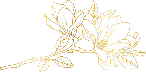Golden magnolia flowers line art isolated on white background. Luxury magnolia floral design elements for invitation, wedding, wallpaper, print template, vector illustration