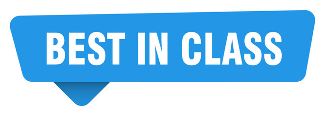 best in class sticker. best in class blue sign isolated on transpatent background