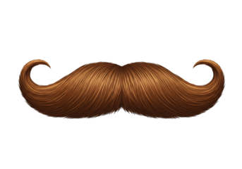 Classic handlebar mustache, elegant brown hair with curled ends