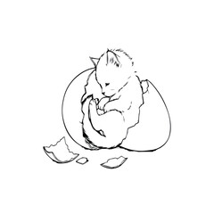 Obraz premium Newborn kitten emerging from a cracked eggshell symbolizing new beginnings and unexpected life.