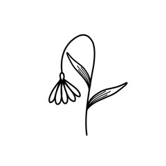 Flower line art. Minimalist flower illustration. Simple flower line art. Hand-drawn flower illustration