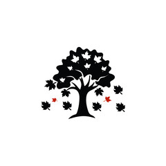 Tree with falling leaves representing autumn and the changing seasons with some leaves in red and...