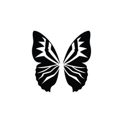 Butterfly wing graphic design with abstract pattern isolated on white background isolated on transparent background