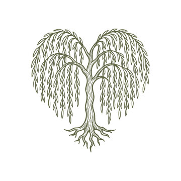 Willow tree heart