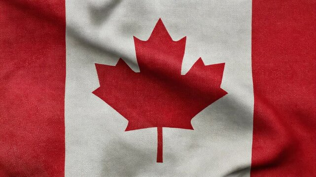 Beautiful close-up of a textured Canadian flag showcasing its iconic maple leaf design