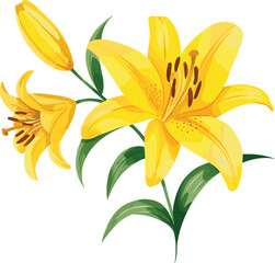 Bright yellow lily flower illustration with blooming petals and green leaves, elegant botanical artwork for floral design, nature themed decorative composition