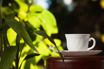 White cup of coffee or tea on a wooden table over blurred tree with sun lighting.