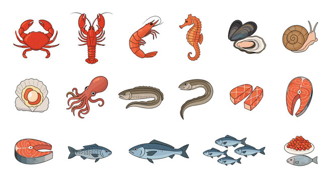A large collection of various colorful seafood items including fish crustaceans and mollusks isolated on a white background.