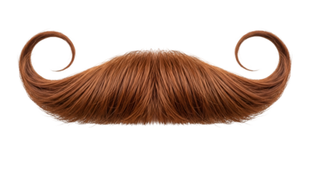 Ginger Colored Handlebar Mustache facial hair auburn
