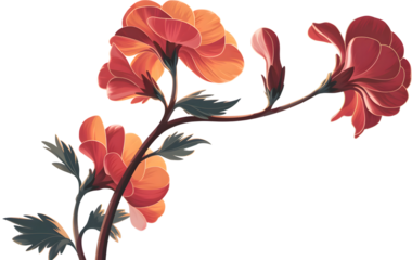 Vibrant orange and red stylized floral branches with delicate leaves artistic illustration isolated on transparent background