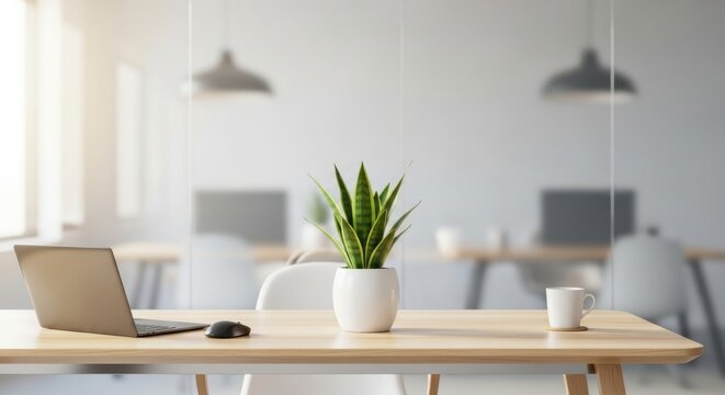 Modern office desk with laptop and snake plant in bright room - Powered by Adobe