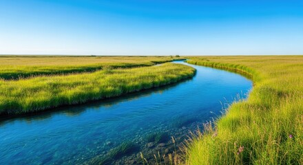 Fototapeta premium Pristine Winding River Flowing Through Lush Green Grassland Under Clear Blue Sky