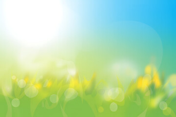 Obraz premium Soft focus spring meadow with bright sunlight and blue sky background