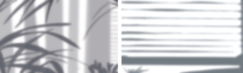 Sunlight plant and window blinds shadows on light wall texture