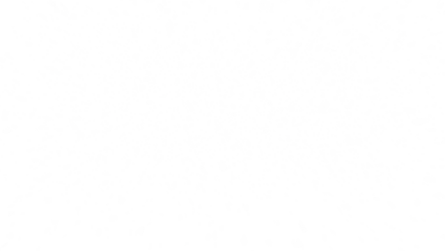 Winter snowflakes overlay