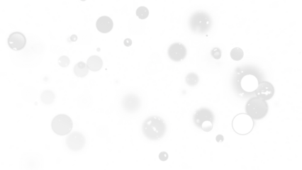 Winter snowflakes overlay